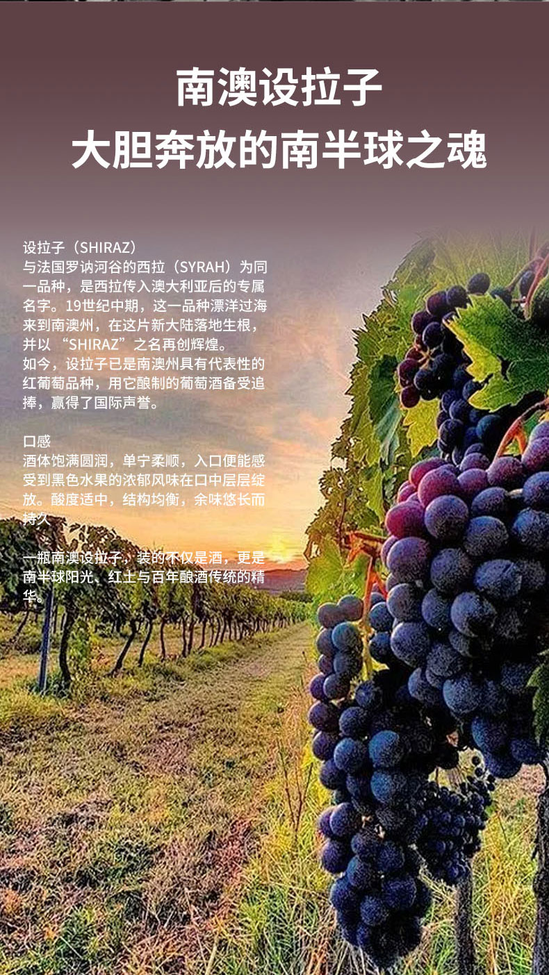 洒派金袋鼠，详情页_07.jpg
